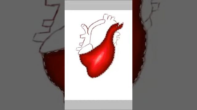 Speed Paint:Draw heart|Обрисовка рисунка на бумаге|Теперь будут анимации в FL|Поч нет музла в видео смотреть онлайн