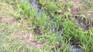 Где начинается Волга???