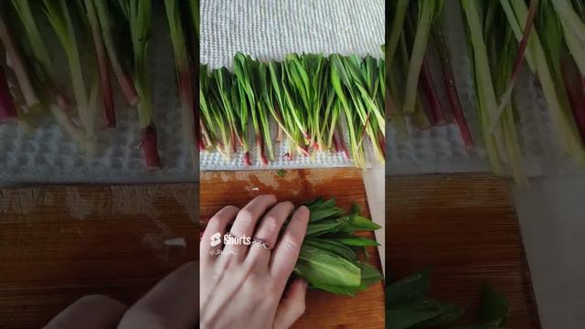 Актуальненько #черемша#shorts😁