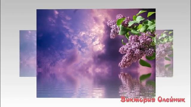 Ароматная сирень смотреть онлайн