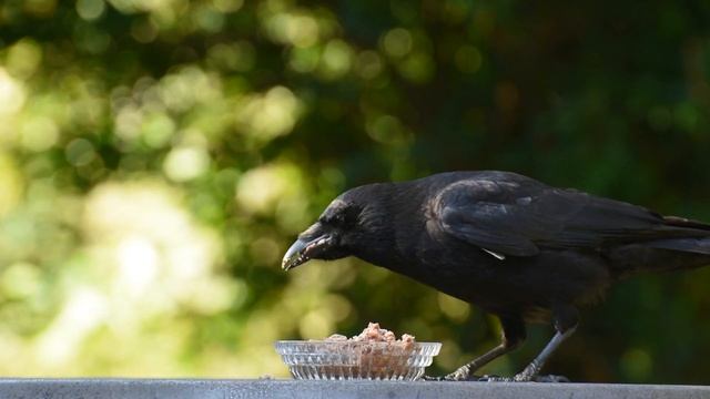 Залипательное видео для релакса и сна #3 | Sticky video for relaxation and sleep #3