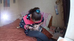 КАК ПОДСТРИЧЬ ПЕРЕНОСИЦУ ЙОРКУ без профессионального инструмента?