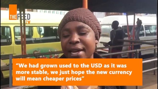 Citizens React To Return Of Zim Dollar смотреть онлайн