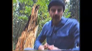 СДОХНИ ИЛИ УМРИ "КАК ИЗБЕЖАТЬ УКУСОВ". (Лапенко)