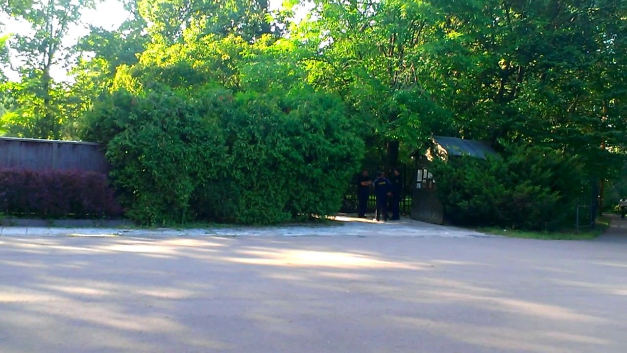 Рядом с японским садом смотреть онлайн