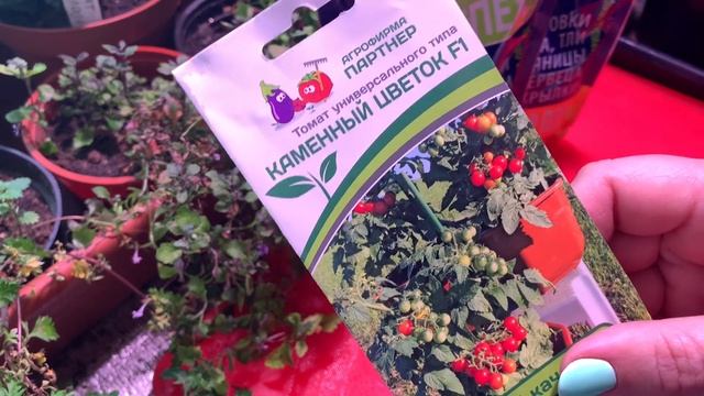 Обзор ПОКУПКИ для сада и огорода. Моспилан, Стрекар, 30+ и один маленький Каменный цветок смотреть онлайн