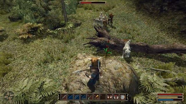 Mit Cole nach Nemora - Der verschlagene Held, Teil 35 (Gothic 3 Gameplay) смотреть онлайн