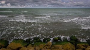 Почему Каспийское озеро называют морем?