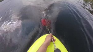 SUP доска и двигатель самоделка, шуруповерт с винтом - лайфхак