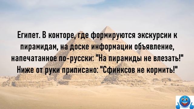 Про евреев, похмелье, туристов и другие смешные анекдоты! Анекдоты До Слез! Юмор! Анекдот дня! смотреть онлайн