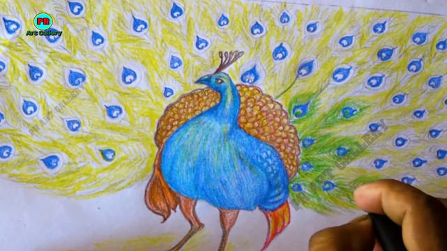 Mayur ka Pencil se kaese banae Panting //मयुर का पेन्सीलसे कैसे बनाए पेन्टीङ //PR Art Gallery смотреть онлайн