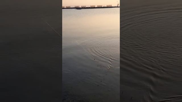 Алаколь - Озеро в Казахстане. Рыбалка на удочку. смотреть онлайн