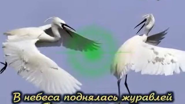 Журавли-христианская песня смотреть онлайн