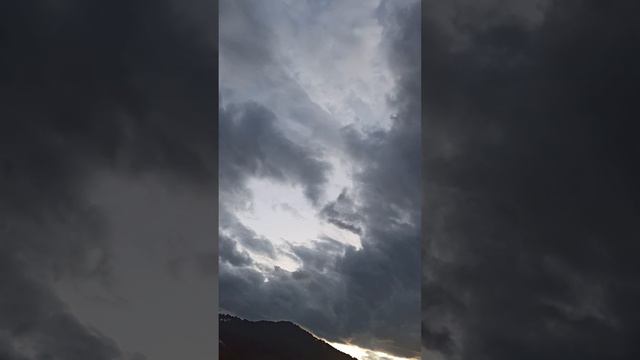Соловьи на закате. Соколы в небе? Ce sont les faucons dans le ciel? Are those falcons in the sky? смотреть онлайн
