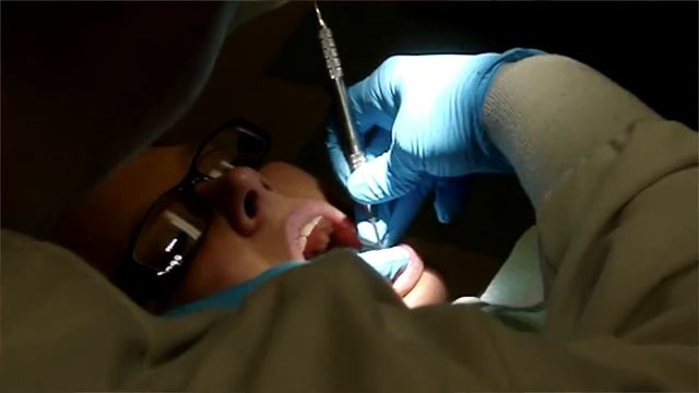 Pigeon Dental смотреть онлайн