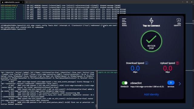 Wildcard DNS With OpenZiti Using Ziti Desktop Edge For Windows