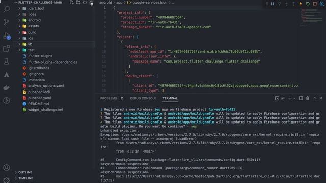 How to setup Firebase CLI setup in Mac | Speed Code | Code With Zeeshan | Android | IOS | смотреть онлайн