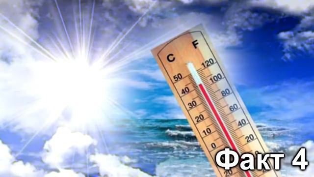 5 Фактов о человеке смотреть онлайн