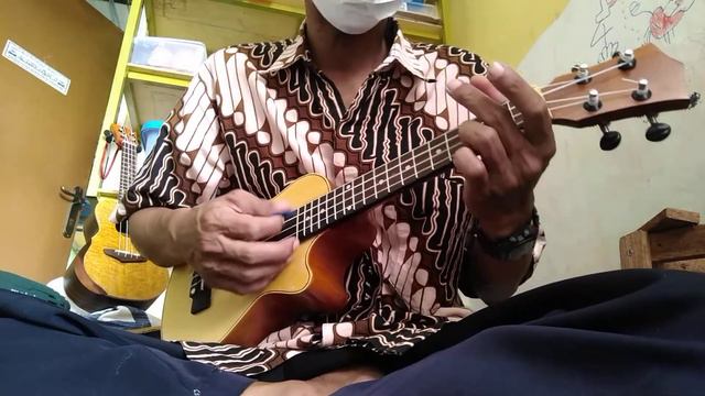 Ukulele Bobokan Test
