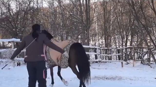 2015 02 11 Яна и Иртыш смотреть онлайн