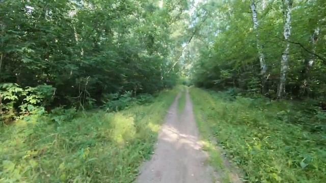 Gopro hero 7 black + моноколесо смотреть онлайн