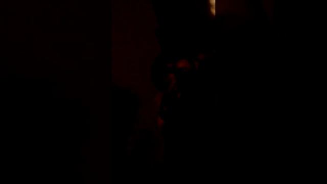 Вечерняя прогулка с собакой 😘 смотреть онлайн