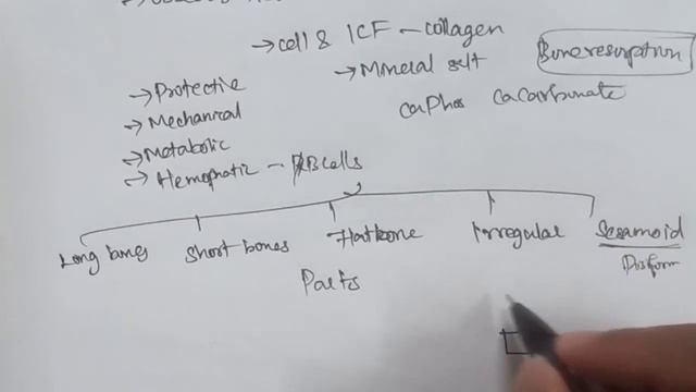 Bones |Detailed introduction and explanation in Tamil смотреть онлайн