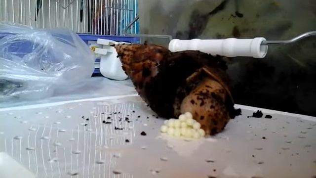 Вот терас это опять случилось смотреть онлайн