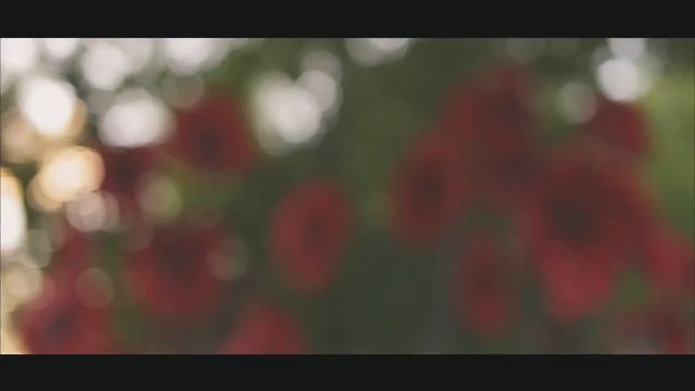 08/06/2015. Свадьба Влада Соколовского и Риты Дакоты. Видео #2 смотреть онлайн