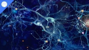 Увеличение мощности мозга, повышение интеллекта, улучшение интеллекта, бинауральные ритмы