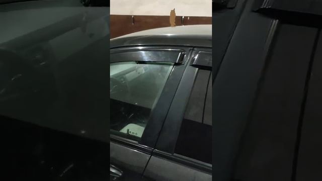 НАШ ЧЁРНЫЙ ДЕЛЬФИН смотреть онлайн