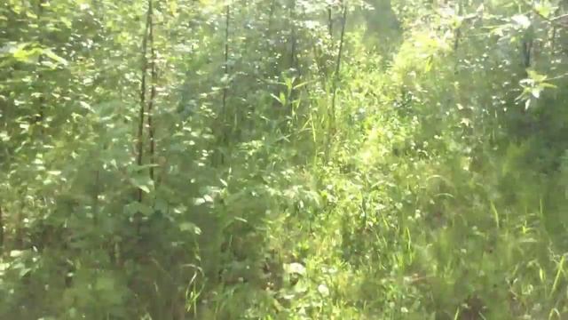 Заметка о рыбалке Приобье 2015 смотреть онлайн