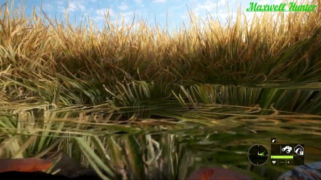 TheHunter: Call Of The Wild.Трэмфайн: Фото мистера Блэка