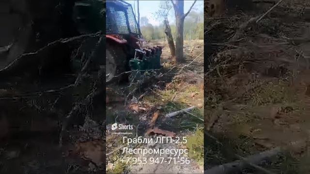 Грабли лесные ЛГП-2,5 Леспромресурс - видео в лесу в работе смотреть онлайн