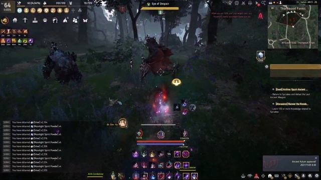 BDO | Thornwood Forest Dark Knight Awakening 302AP Kutum 12000+/hr (Yellow Loot Scroll) смотреть онлайн