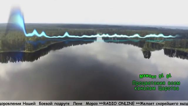 Radio Online - Live Music Stream