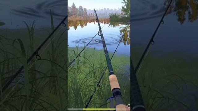 Окунь ГИГАНТ Русская рыбалка 4?GIANT perch Russian fishing 4 Подпишись! жду на стриме! смотреть онлайн