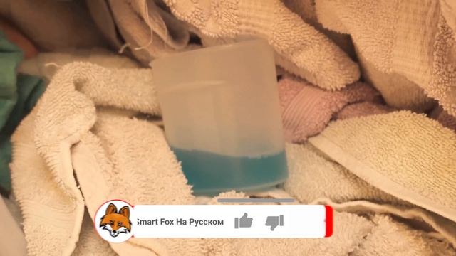 ВЫ БУДЕТЕ ПОРАЖЕНЫ, когда зальете жидкость для полоскания рта в стиральную машину ? смотреть онлайн