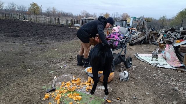 Я их загоняю, а они снова сносят стены. смотреть онлайн