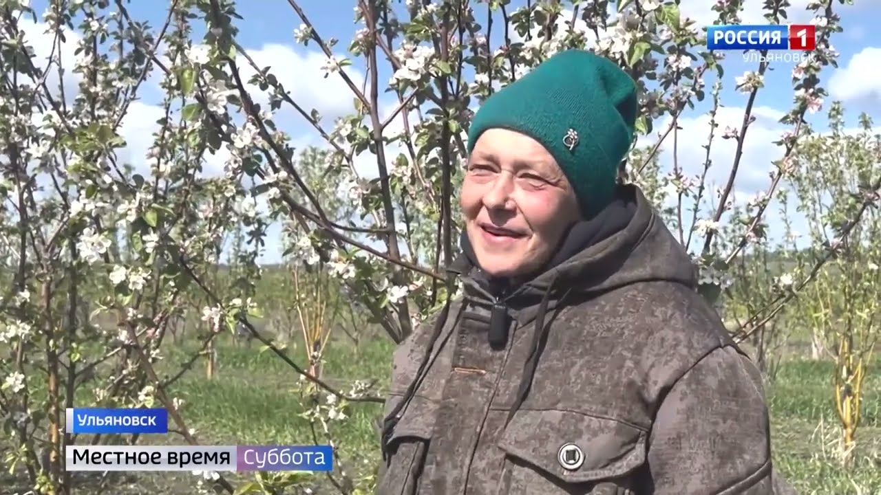 Всероссийская ярмарка трудоустройства помогла жительнице Ульяновской области найти работу смотреть онлайн