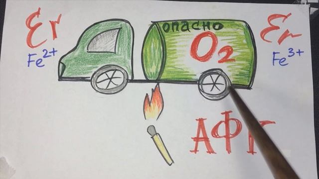 Эритроцит. Вечная борьба с агрессорами. Биохимия смотреть онлайн