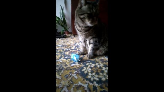 И такое с Жориком тоже бывает!!! ))) смотреть онлайн