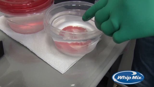 Design & Print Digital Dentures with the Asiga Max смотреть онлайн