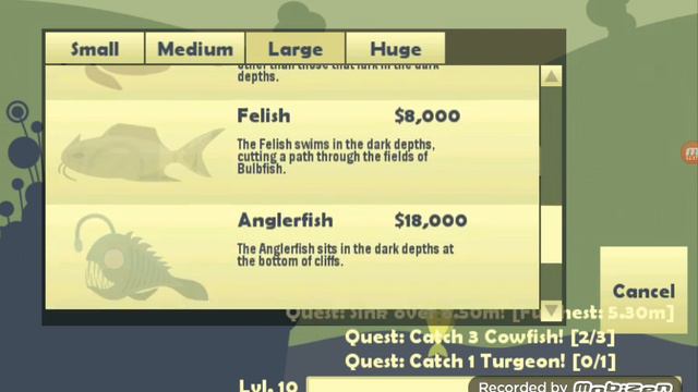 Котик ловит рыбку смотреть онлайн