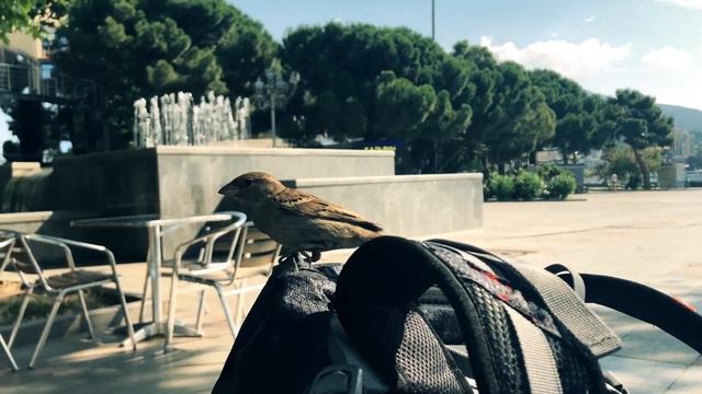 CRIMEA. JUNE 2018 смотреть онлайн