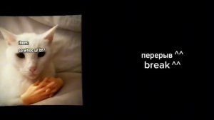 Honkai star rail react to Fem y/n as Kanao Tsuyuri || RUS/ENG ||