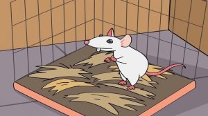 МОЇ ГРИЗУНИ (Анімація LOLka)