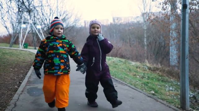 Птицы зимой смотреть онлайн