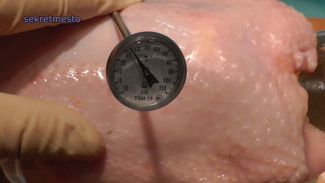 Могут ли клещи впиться в НЕ живую плоть? смотреть онлайн