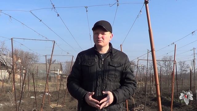 Когда нужно открывать виноград смотреть онлайн